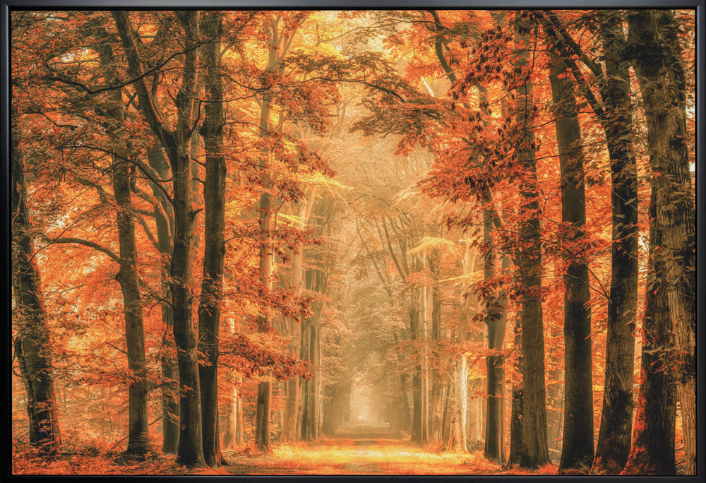 Wall Art Exit the Portal