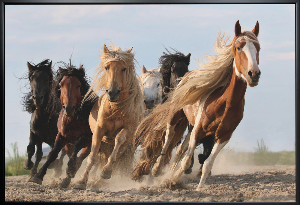 Wall art Lucky Six Horses