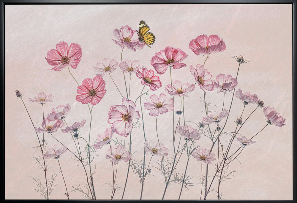 Wall Art Cosmos and Butterfly