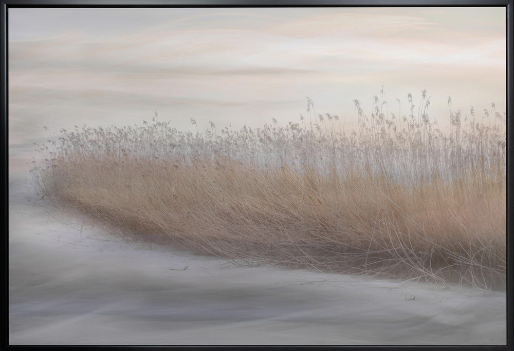 Wall art Winter Reed