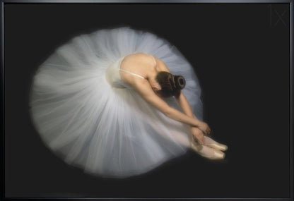 Wall art Elegance. Dance