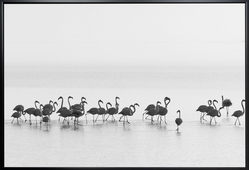 Wall art Flamingos