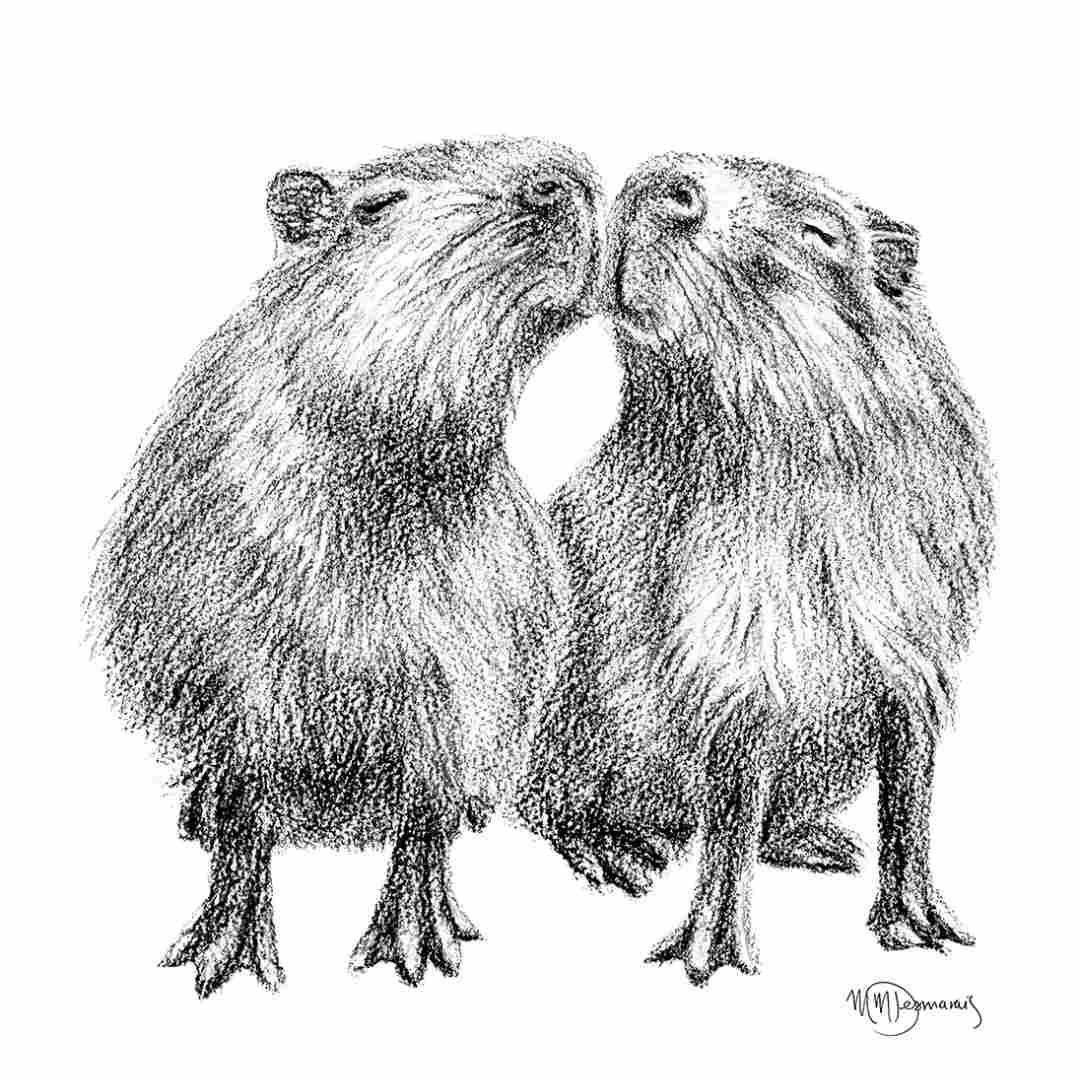 Kissing Capybaras - Print