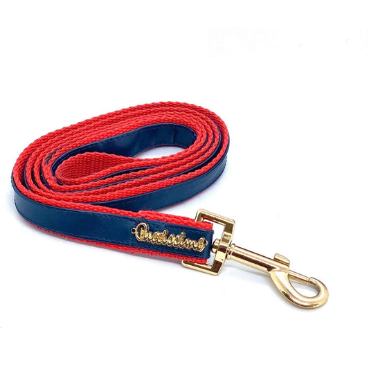 Cardinal Leash with hands-free extension