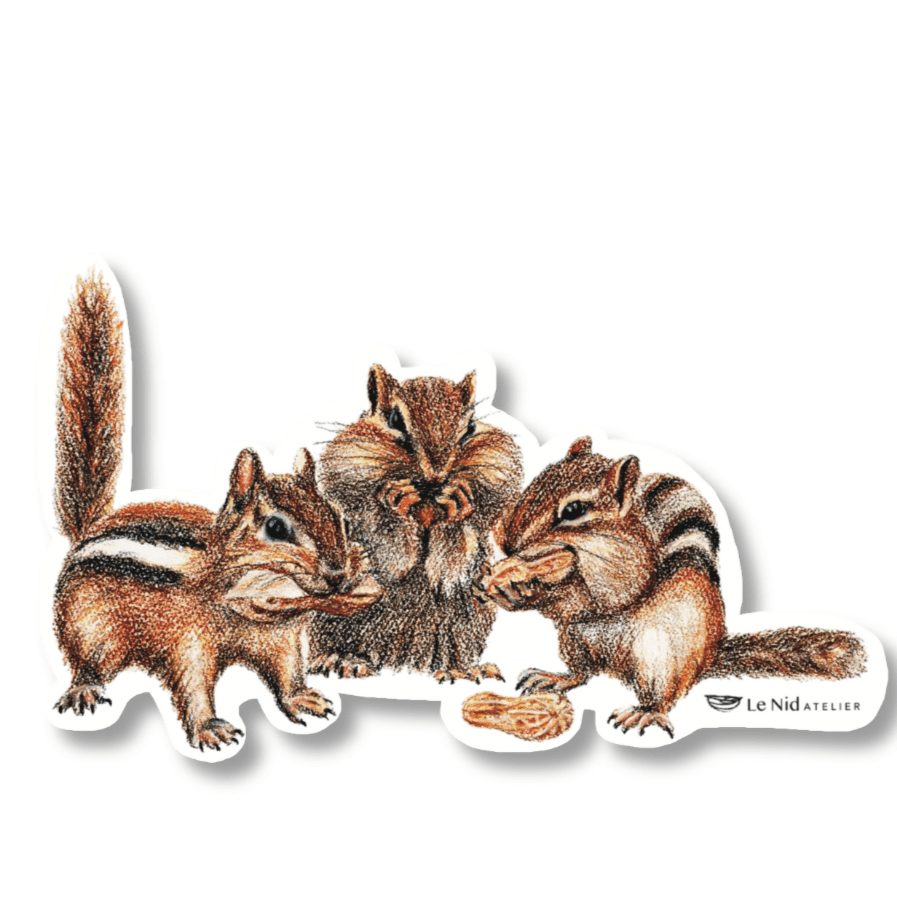 Chipmunks - Sticker