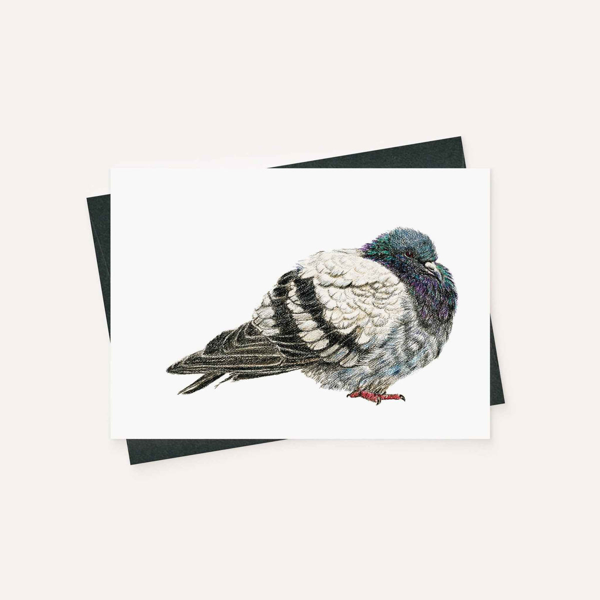Pigeon - greeting card