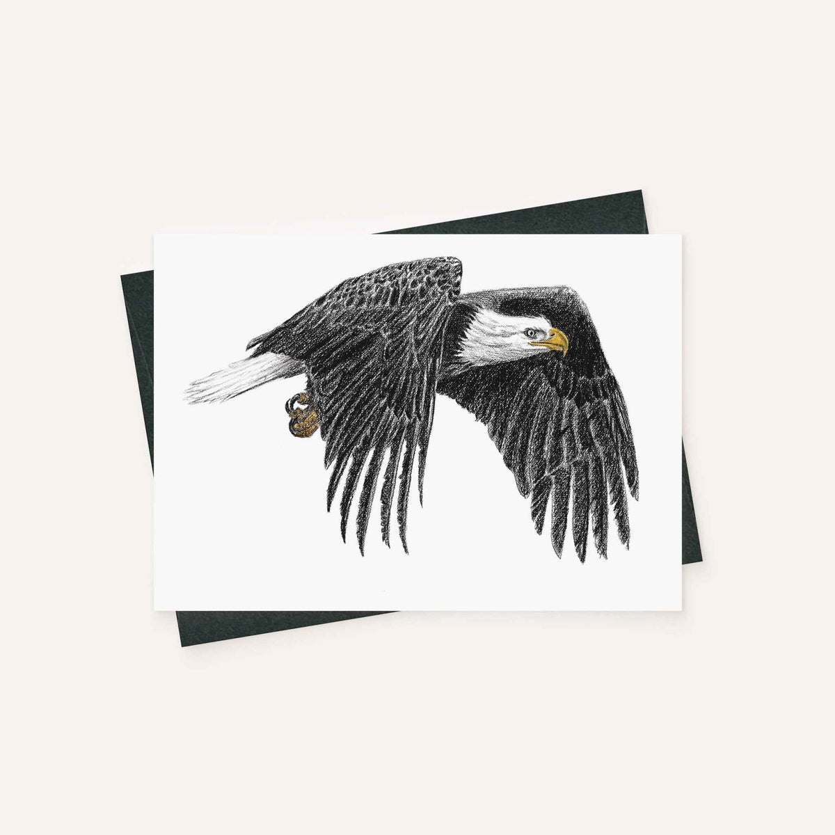 Bald Eagle  - greeting card