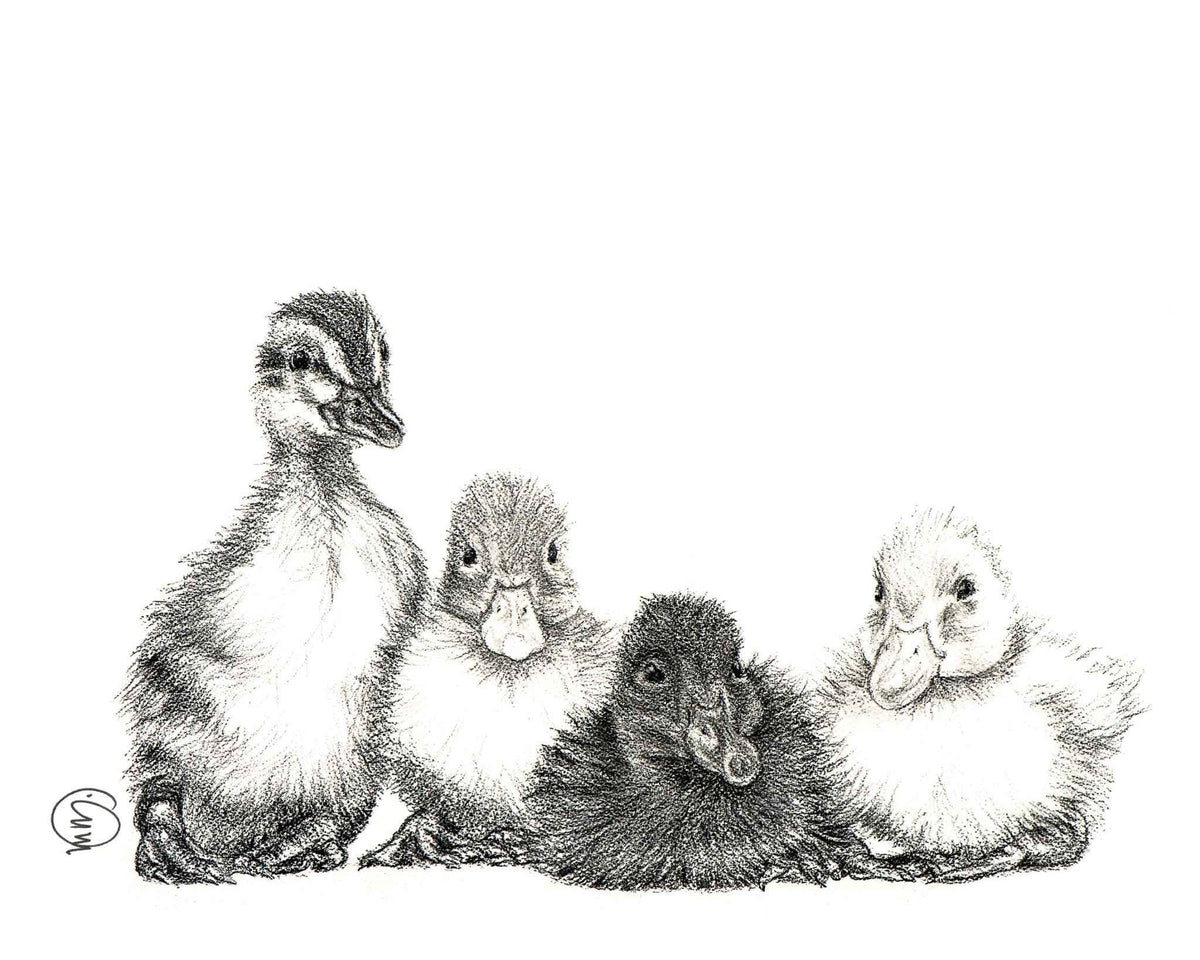 Cute Baby Ducklings - nursery wall decor