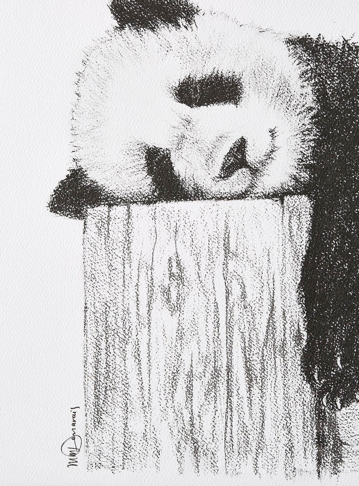 Cute sleeping Panda - Black and white art print