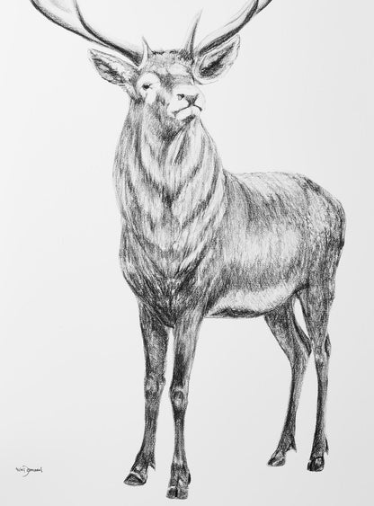 Deer with heart shaped antlers - Print