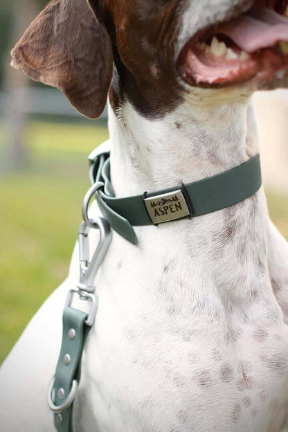 Water Resistant Dog Collar