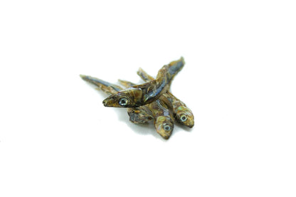 Dried Sardines 40g