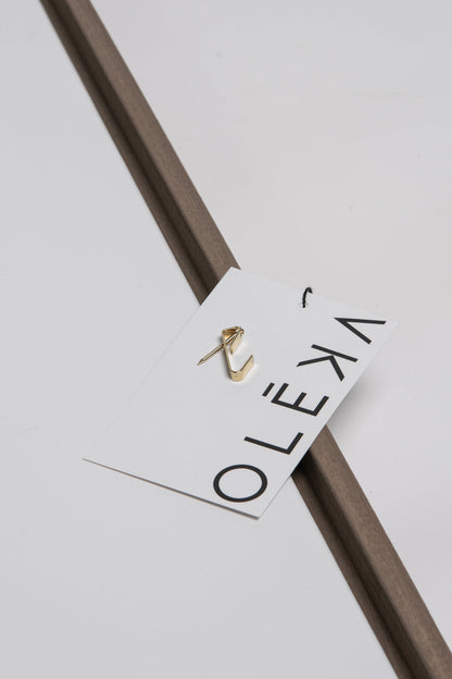 FRAGMENTS NATURELS, Oeuvre sur toile étirée