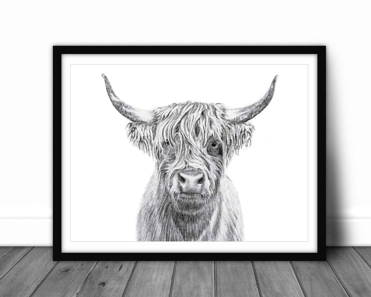 Highland Cow Portrait - art print