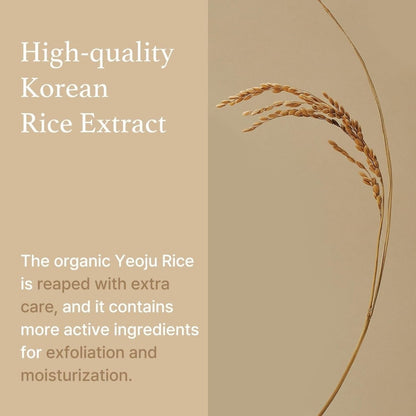 I'm from Rice Sheet Mask 20ml