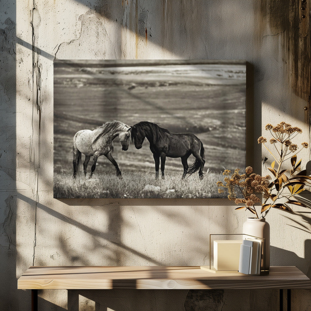 Wall art close encounter