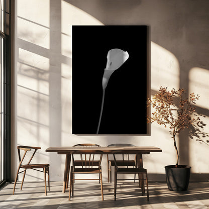 Wall art Calla | dark design