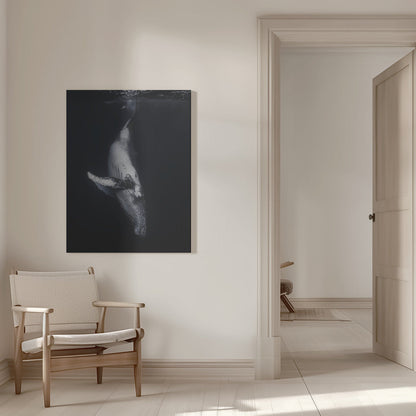Wall Art-Black Whale