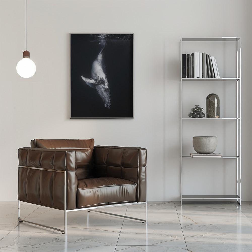 Wall Art-Black Whale