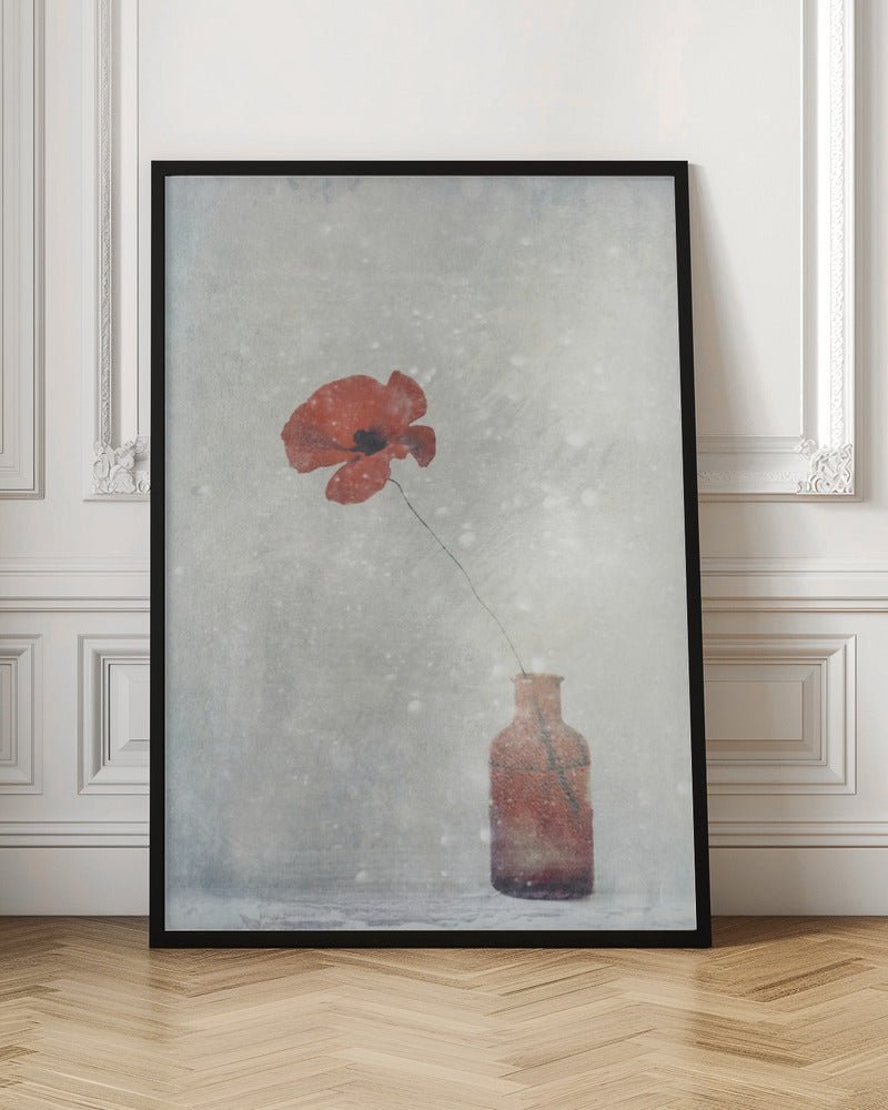 wall art Winter Poppy