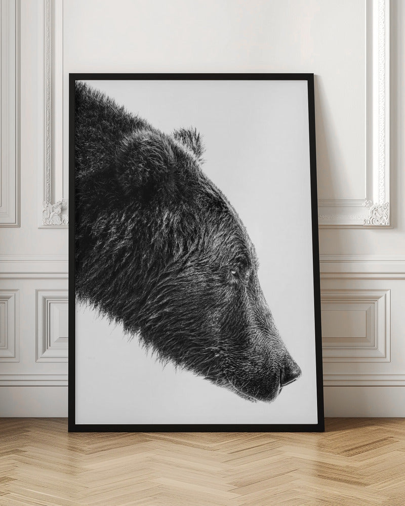 Wall art The Salmon Catcher