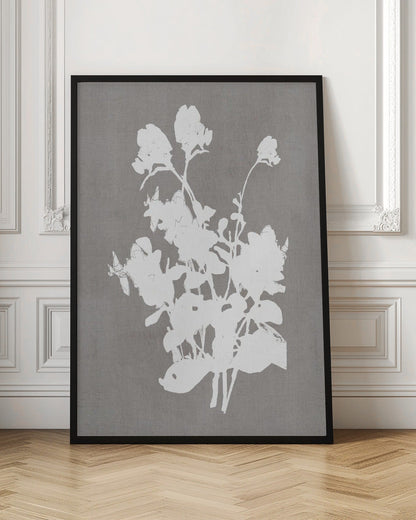 Wall art Botanical Illustration 3
