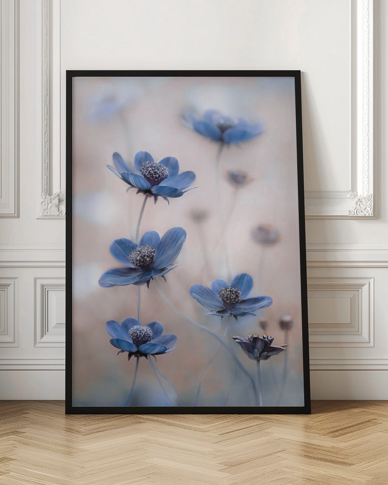 Wall Art Cosmos blue