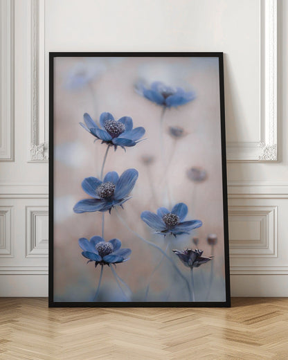 Wall Art Cosmos blue
