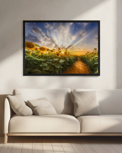 Wall art Path through the sunflower field
