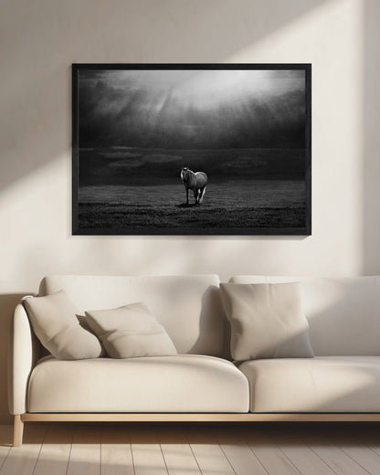 Wall art morning appearance. Hourses