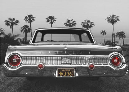 Wall art Ford Galaxie 500XL Canvas Print