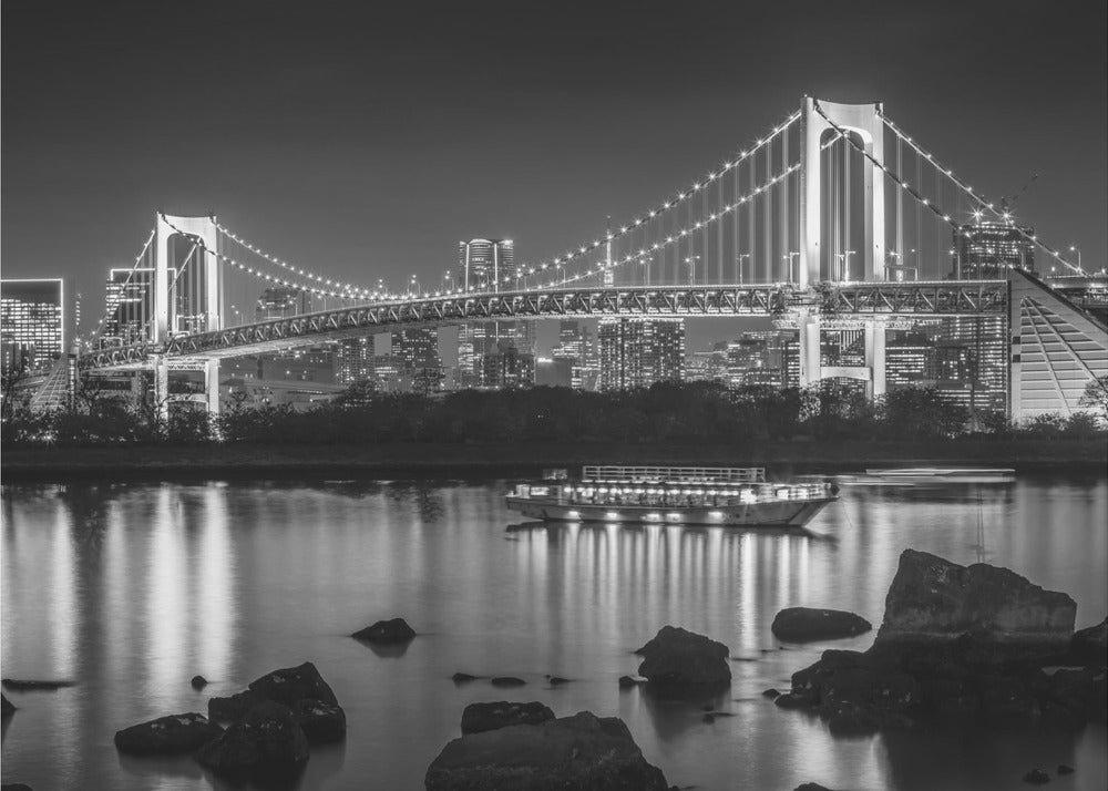 Wall art Gorgeous Rainbow Bridge with Tokyo Skyline in the evening - monochrome