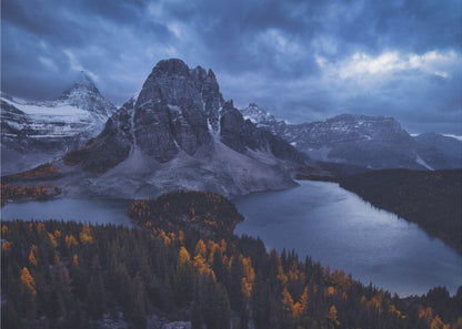 Wall art Mt Assiniboine: Amidst A Snow Storm