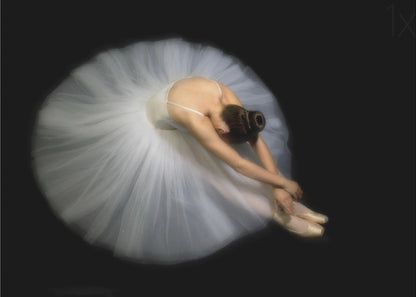 Wall art Elegance. Dance