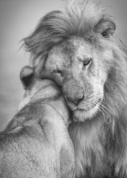 Wall art African Love! Canvas Print