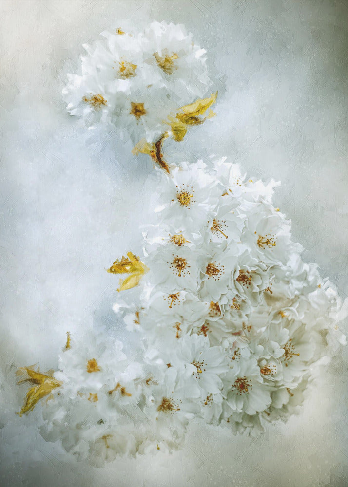 Wall Art Cherry blossoms