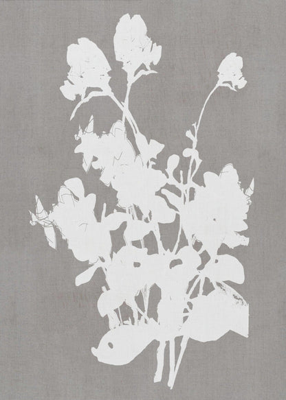 Wall art Botanical Illustration 3