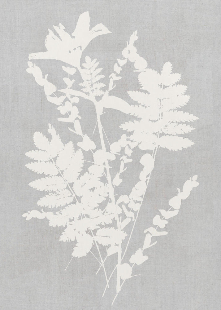 Wall art Botanical Illustration 5
