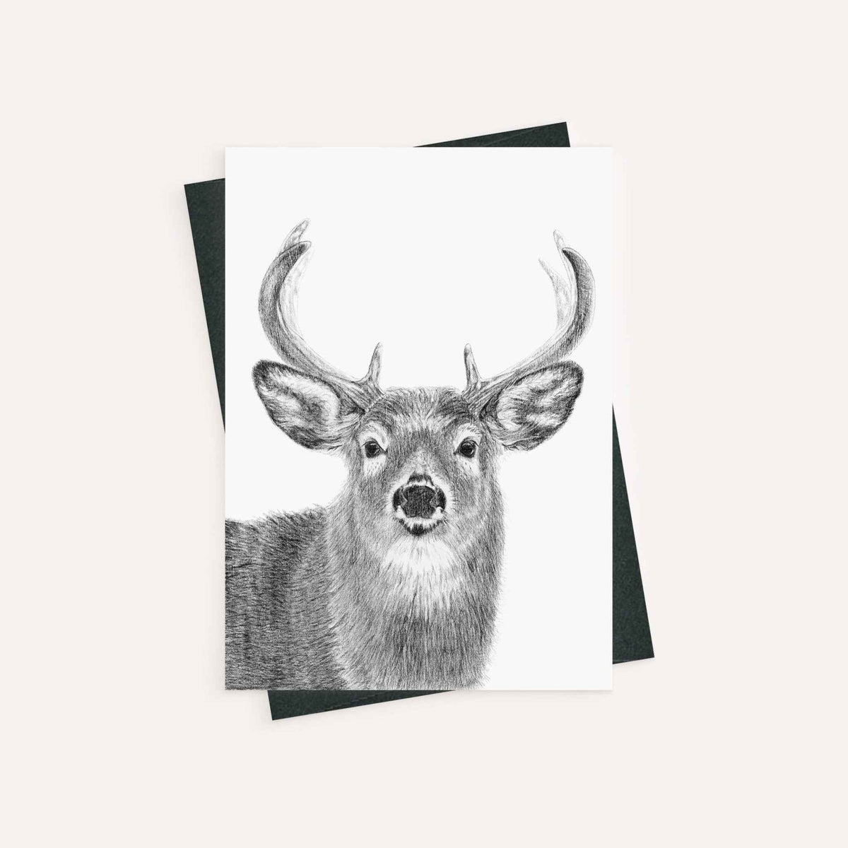 Stag - greeting card
