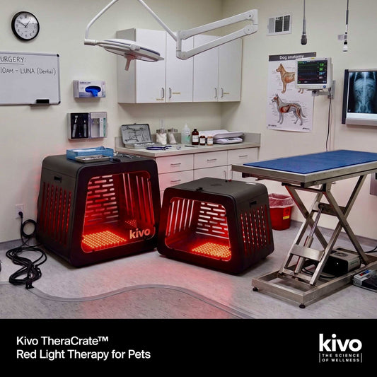 Kivo TheraCrate for Pets